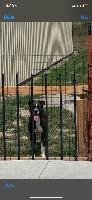 Barklee - Photo 4