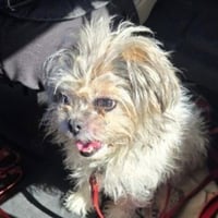 Emmy Lou - Photo 1