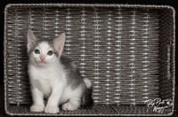 Trevor - Photo 2