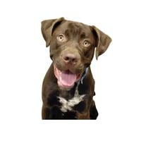 Sheriff - Photo 3
