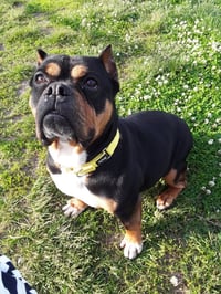 Holly - Photo 2