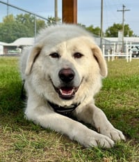 Clark - Photo 3
