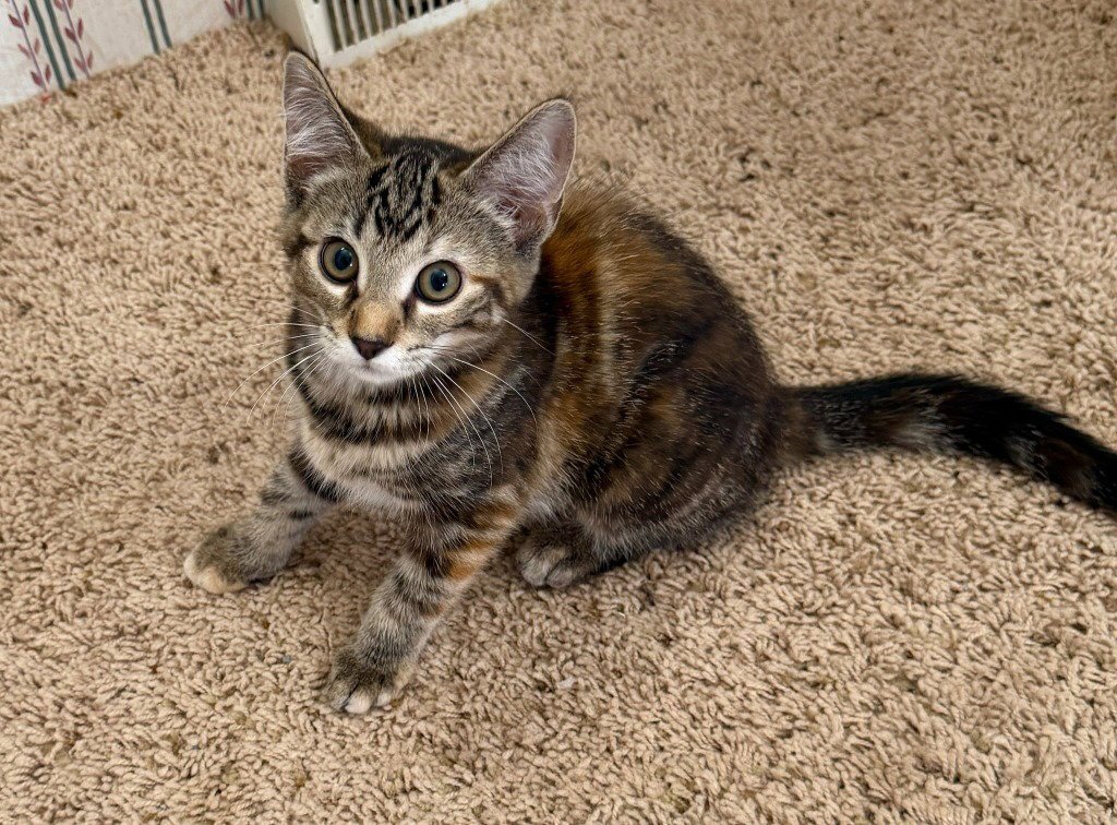 Margo *IN FOSTER* Image