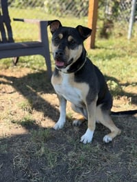 Meg - Photo 2