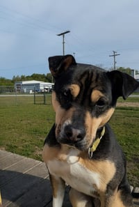 Meg - Photo 1