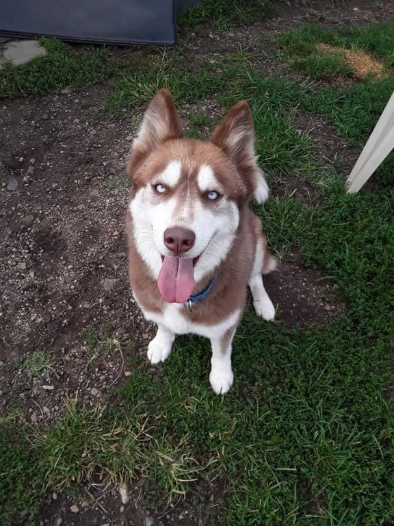 Kita Image