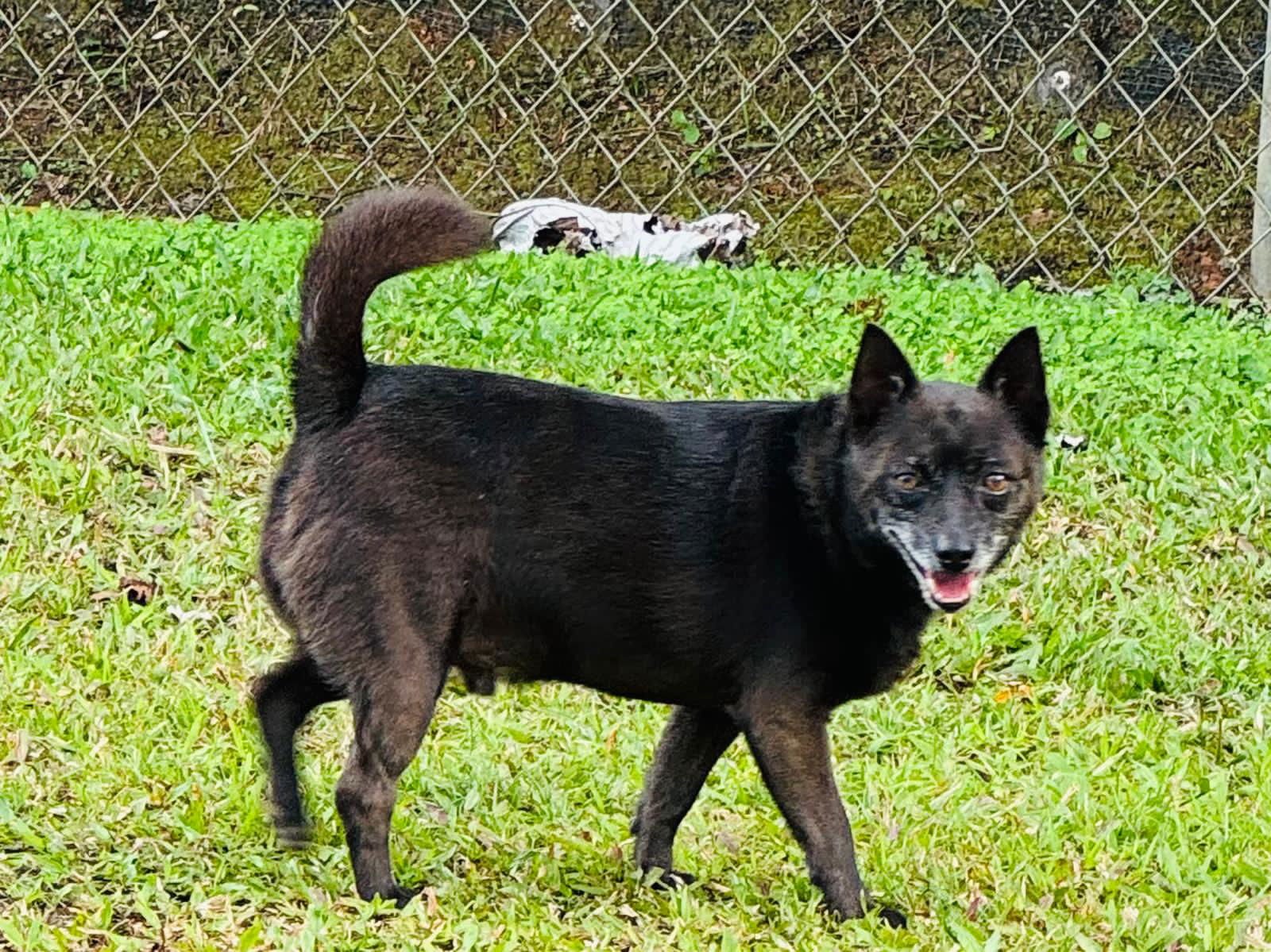 Haze (Foster in PA) - Photo 3