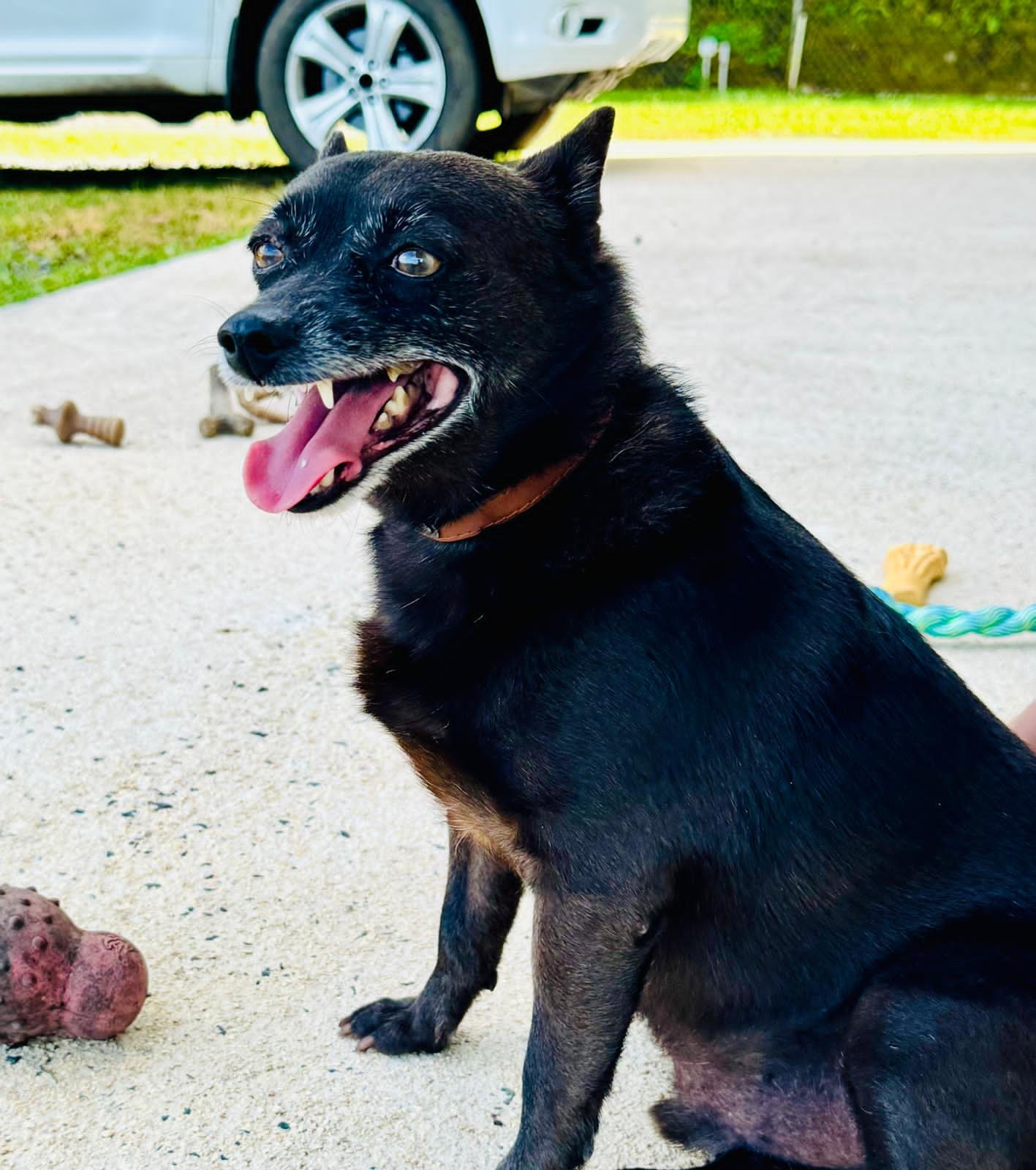 Haze (Foster in PA) - Photo 4