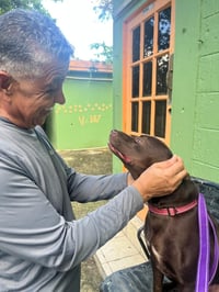 Snickers (Foster in CO) - Photo 13
