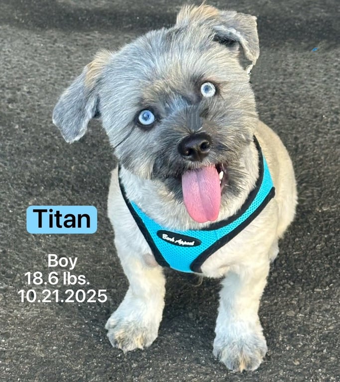 Titan Image