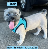 Titan - Photo 3