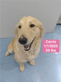 Carrie - Photo 3