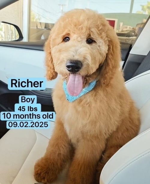 RICHER