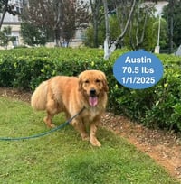 Austin - Photo 2