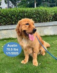 Austin - Photo 3