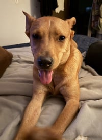 Lucky - Photo 2