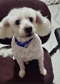 Bonnie - Photo 4