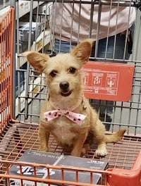 Peaches - Photo 4