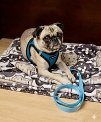 Georgie Girl - Photo 3