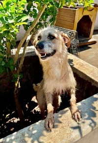 Zoe - Photo 4