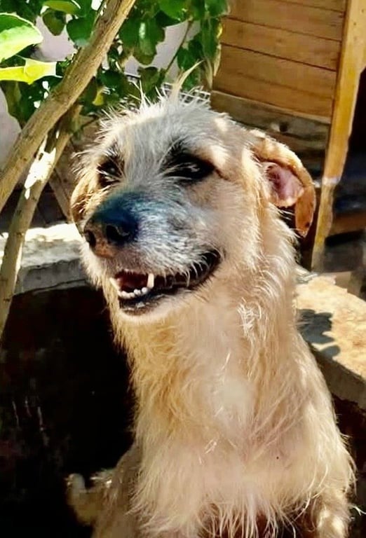 Zoe Image