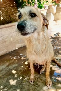 Zoe - Photo 3
