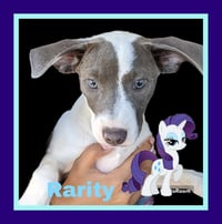Rarity - Photo 5