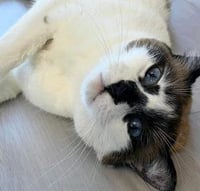 Miss Lizzie - Photo 3