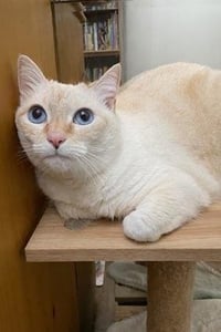 Elsa - Photo 2
