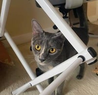Mia - Photo 2