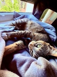 Tucker - Photo 2
