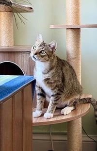 Tucker - Photo 4