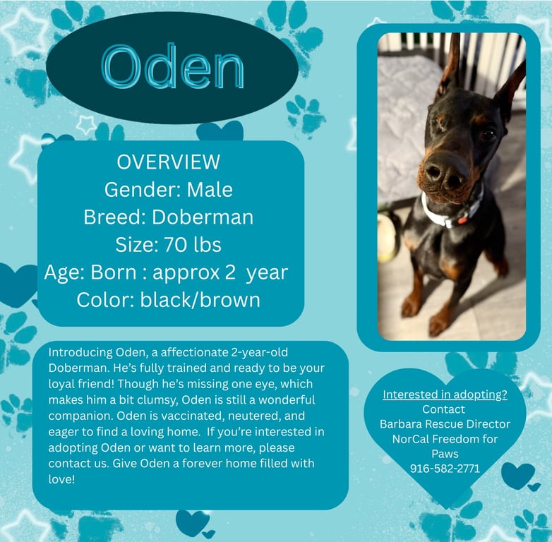 Oden Image