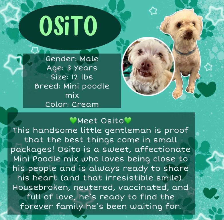 Osito Image