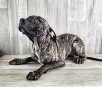 Billy Jean - Photo 1