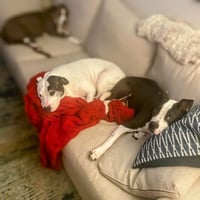 Bumpkin - Urgent - Photo 5