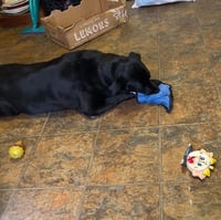 Senior Foster - Photo 4