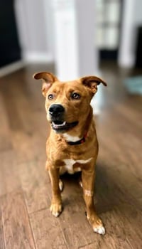 Young Cooper - Photo 3