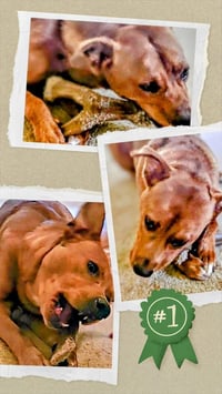 Young Cooper - Photo 6