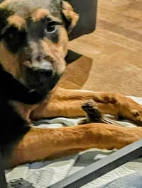 Benn - Urgent - Photo 4