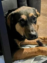 Benn - Urgent - Photo 5