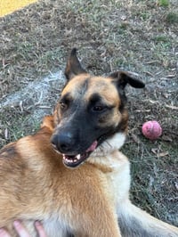 Mama Rosie - Urgent - Photo 1