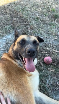 Mama Rosie - Urgent - Photo 3