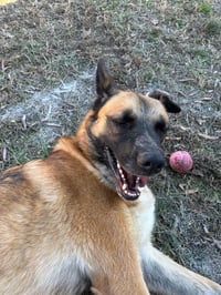 Mama Rosie - Urgent - Photo 5