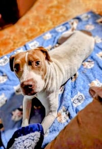 East - Urgent - Photo 3