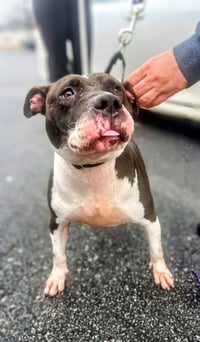 Jodie Foster - Photo 3