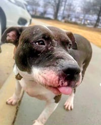 Jodie Foster - Photo 4