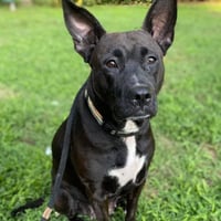 Gabi - Urgent - Photo 5