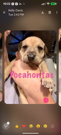 Pocahontas - Photo 1