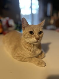 Natty - Photo 2